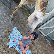 Maverick is registered to the contest to win money with this photo: baby, child, horse, animal, outdoor, blanket, cap, grass, barn, friendly, cute, smiling, nature, pet, young, person, mammal, daylight, farm, happy