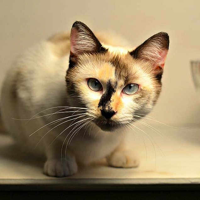 Lilith
