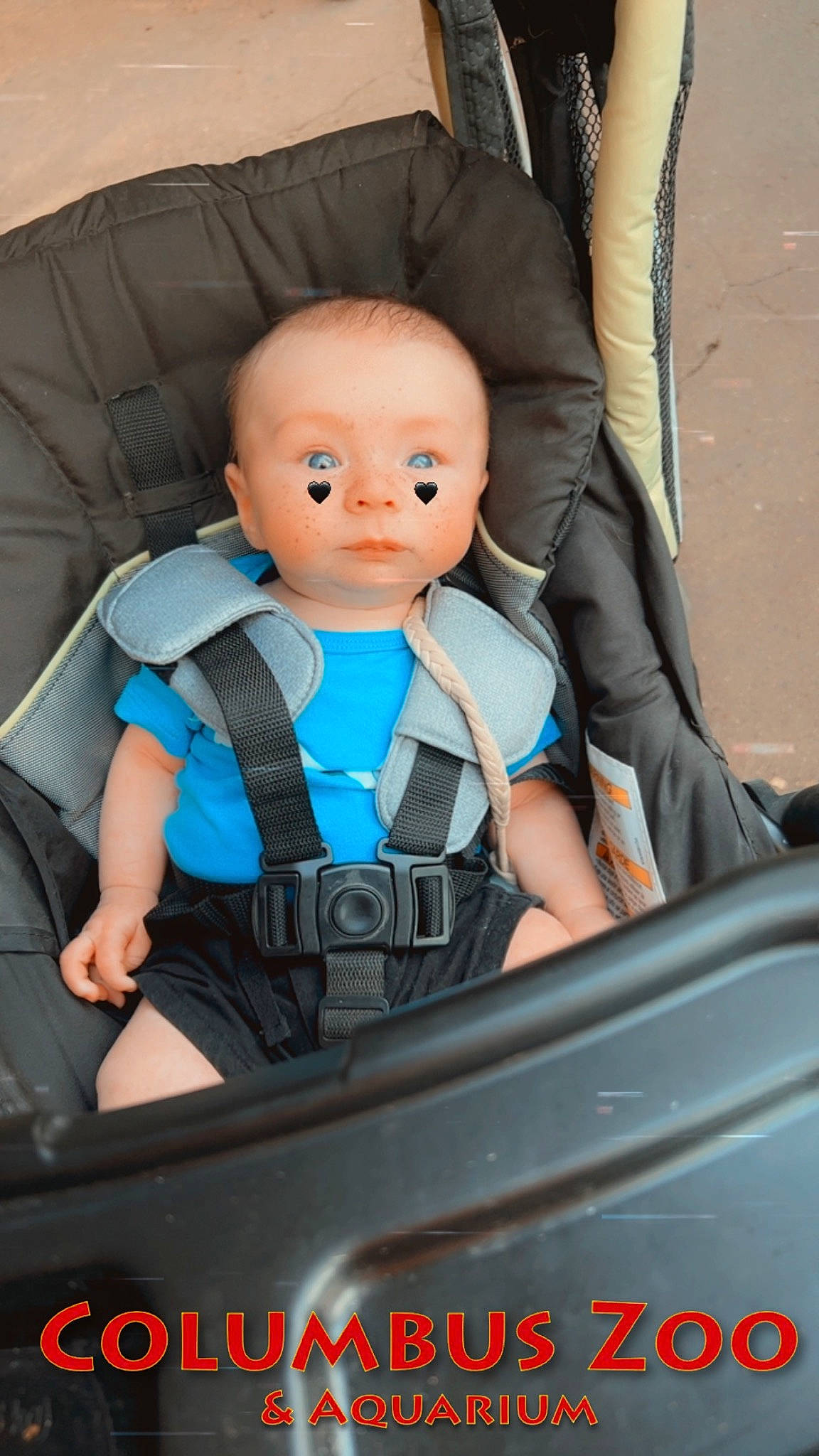 Thatcher is registered to the contest to win money with this photo: auto_part, automotive_design, baby, baby_carriage, baby_products, car_seat, car_seat_cover, child, comfort, doll, electric_blue, family_car, head_restraint, luxury_vehicle, motor_vehicle, person, seat_belt, sitting, toddler, toy