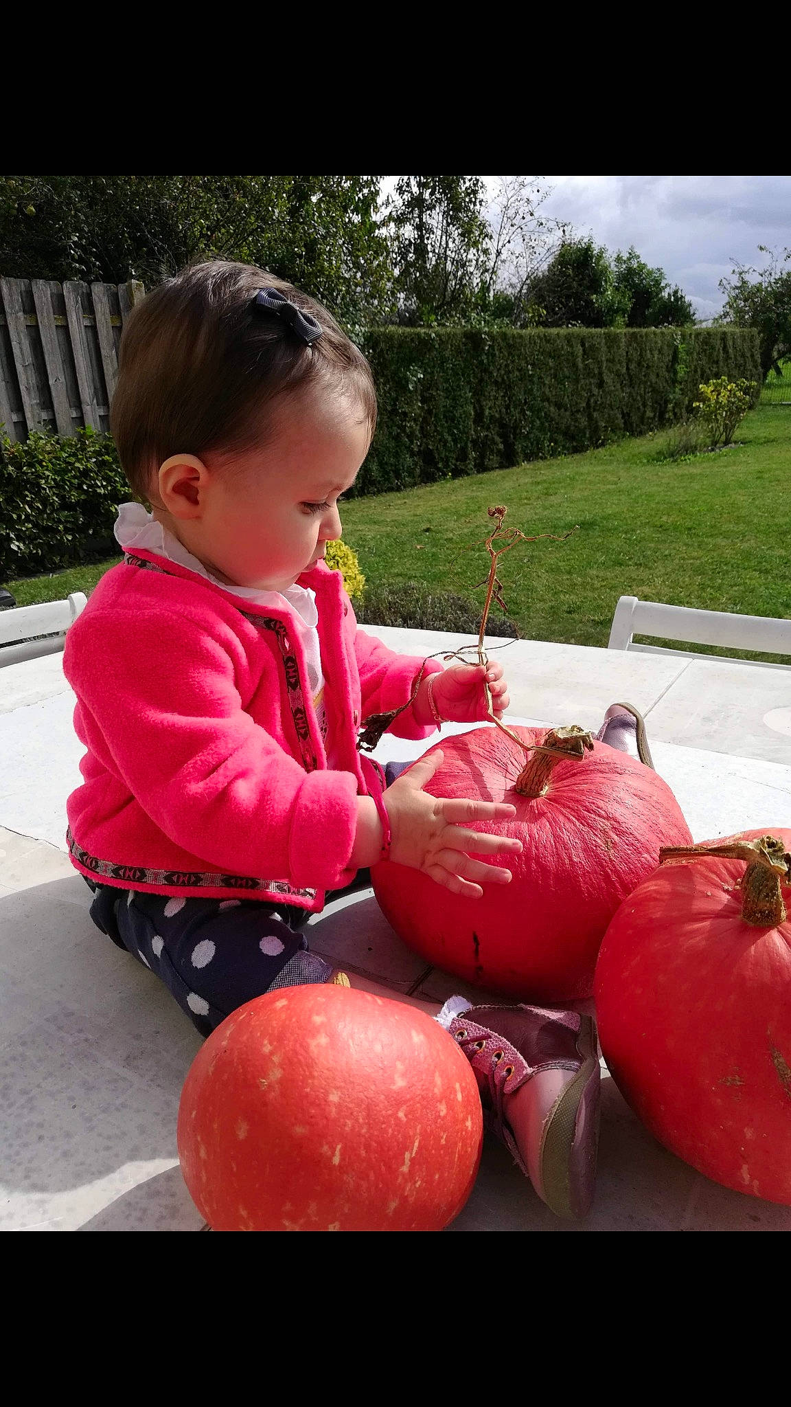 Camélia a rejoint le concours — aidez-le/la à gagner de superbes lots ! child, food, fruit, local_food, person, plant, toddler, vegetable