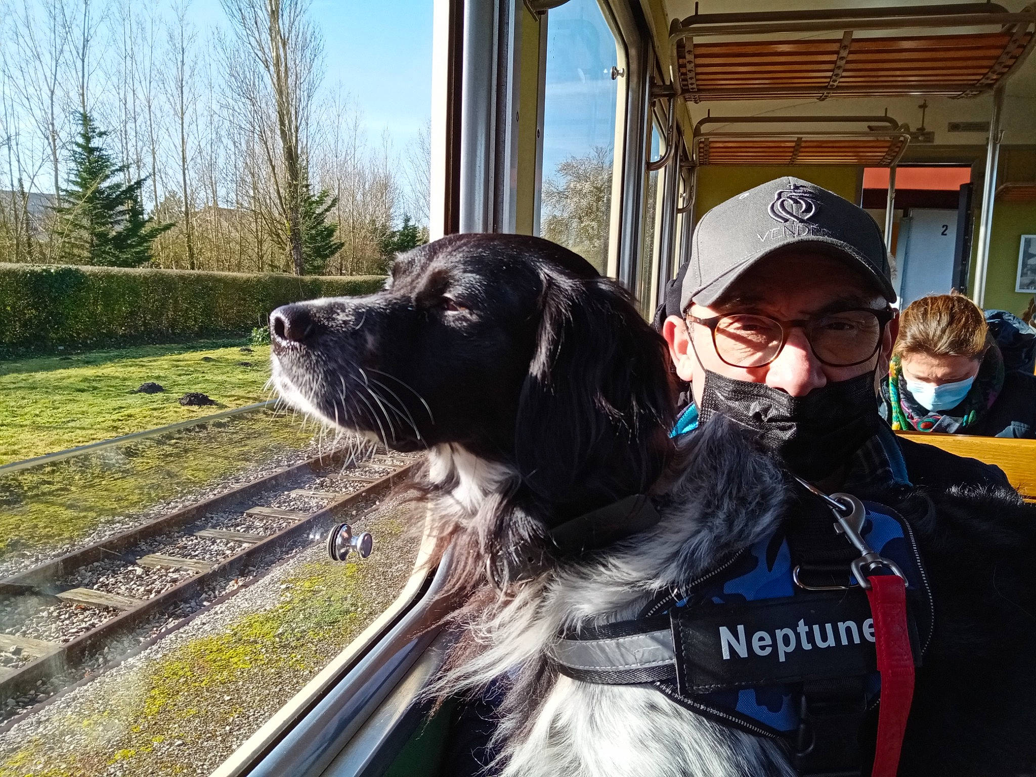 Neptune a rejoint le concours — aidez-le/la à gagner de superbes lots ! baseball_cap, canidae, carnivore, collar, companion_dog, dog, dog_breed, dog_collar, fur, goggles, personal_protective_equipment, plant, recreation, sky, snout, sporting_group, sunglasses, tree, working_animal, working_dog