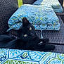black_cat, cat, outdoor, cushion, patterned_fabric, wicker_chair, garden, greenery, pet, animal, sunlight, relaxing, feline, yellow_eyes, texture, seat, summer, cozy, resting, curious