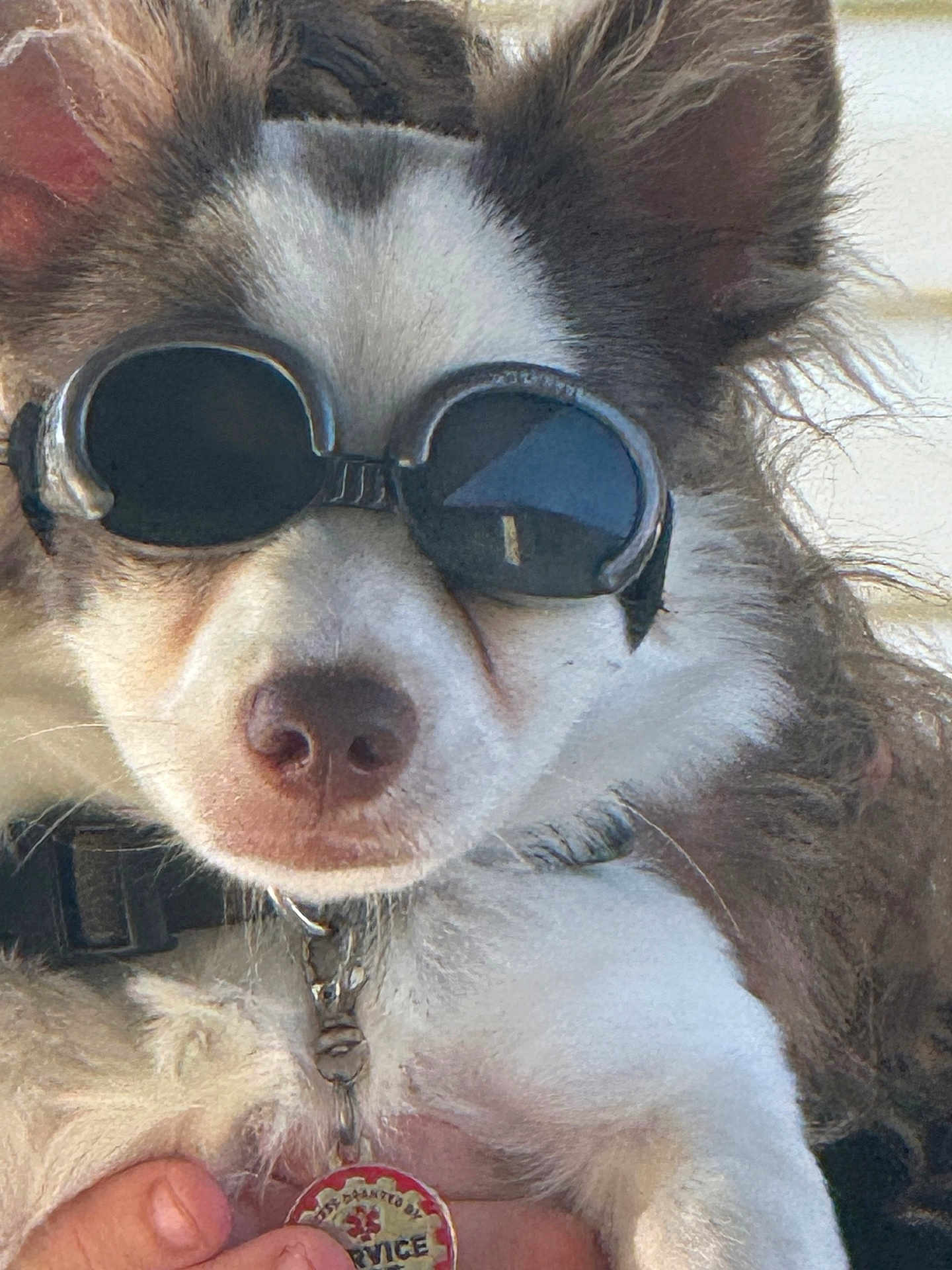 Cooper