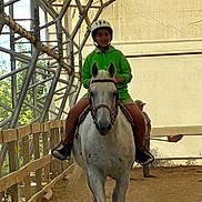 Ryan joined the competition — help win amazing prizes! child, horse, horseback_riding, rider, helmet, green_jacket, indoor_arena, equestrian, animal, saddle, bridle, reins, stirrups, wooden_fence, riding, outdoor_light, portrait, centered_composition, stable, safe_sport