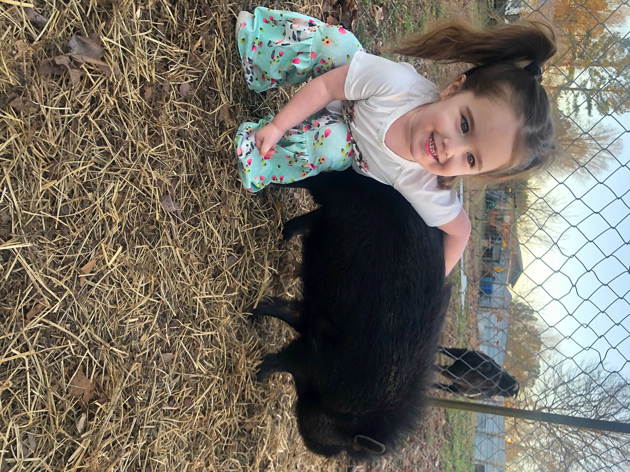 River joined the competition — help win amazing prizes! agriculture, carnivore, dog_breed, eye, fence, fun, fur, grass, happy, joy, leaf, leisure, mesh, people_in_nature, person, plant, shadow, sitting, smile, soil