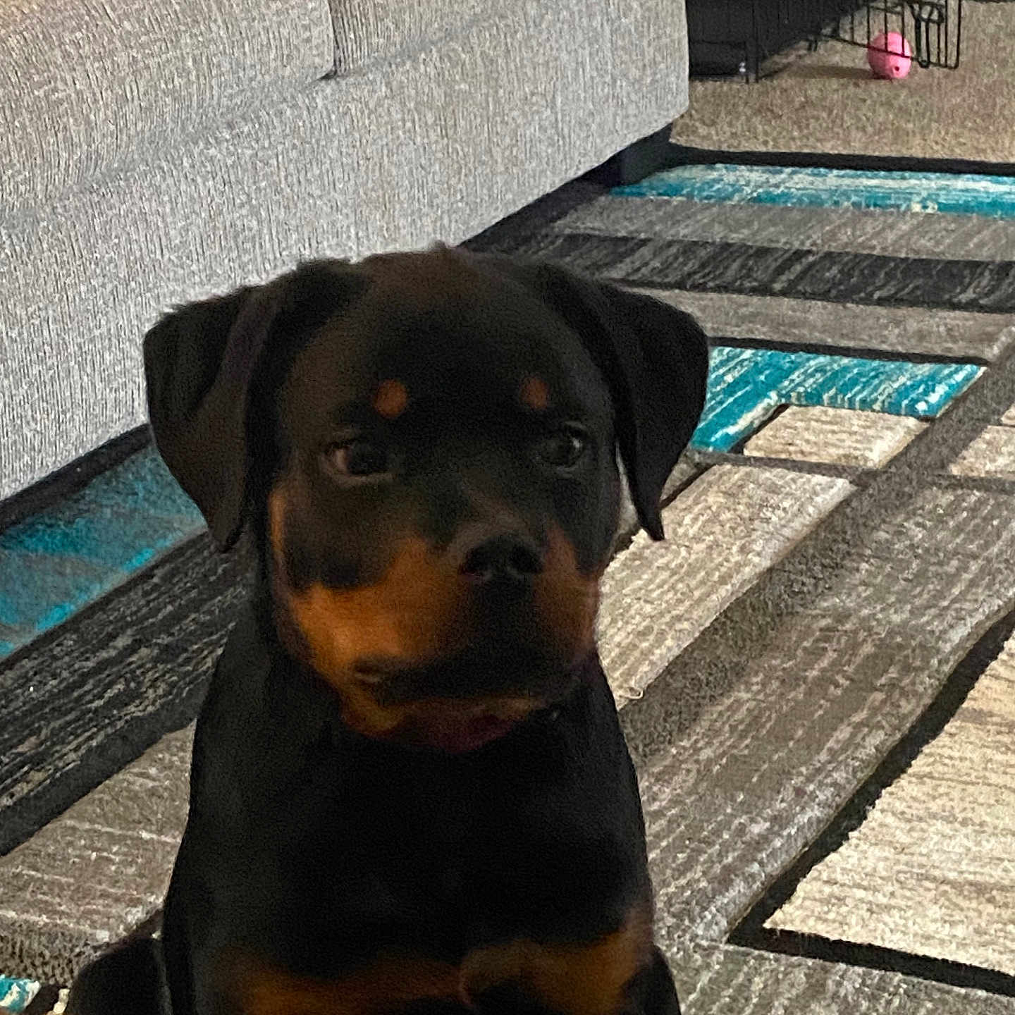 Mia
