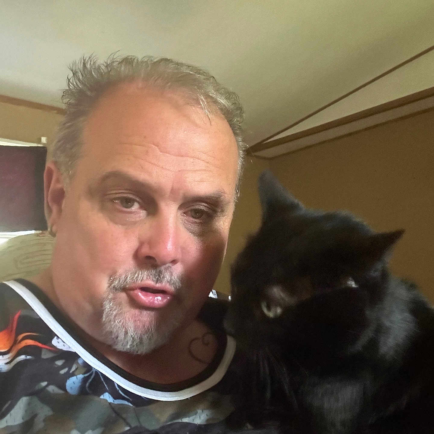 Pepper joined the competition — help win amazing prizes! accessories, adult, animal, beard, blackcat, cat, face, glasses, head, indoors, jewelry, kitten, male, man, necklace, person, pet, photography, portrait, selfie