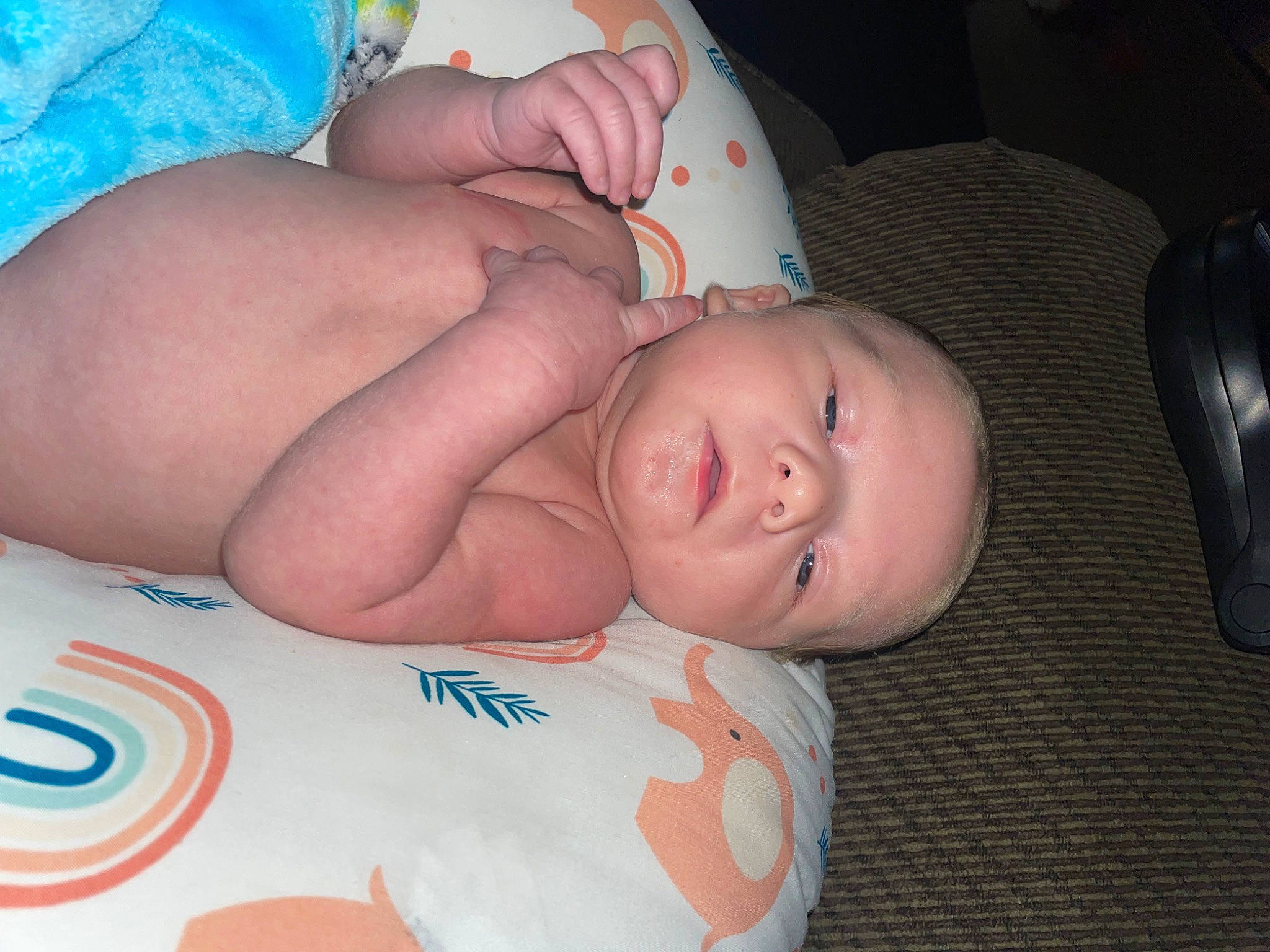 Dwayne is registered to the contest to win money with this photo: abdomen, arm, baby, baby_toddler_clothing, cheek, chest, child, comfort, elbow, finger, hand, mouth, nail, nose, pattern, person, skin, stomach, thumb, toddler