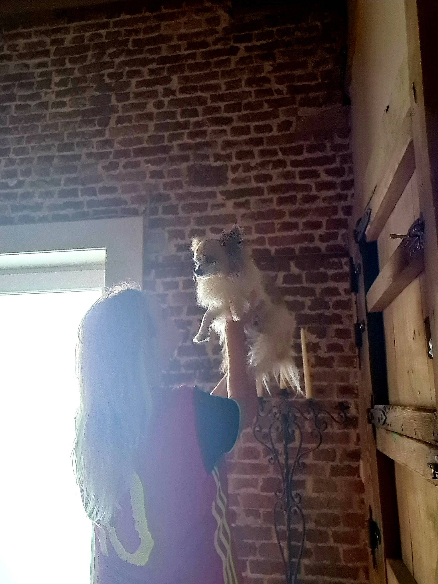 Dolce a rejoint le concours — aidez-le/la à gagner de superbes lots ! art, backlighting, beard, brick, brickwork, darkness, eyewear, flash_photography, flooring, fun, lens_flare, room, shadow, sunglasses, sunlight, tints_and_shades, tree, visual_arts, window, wood