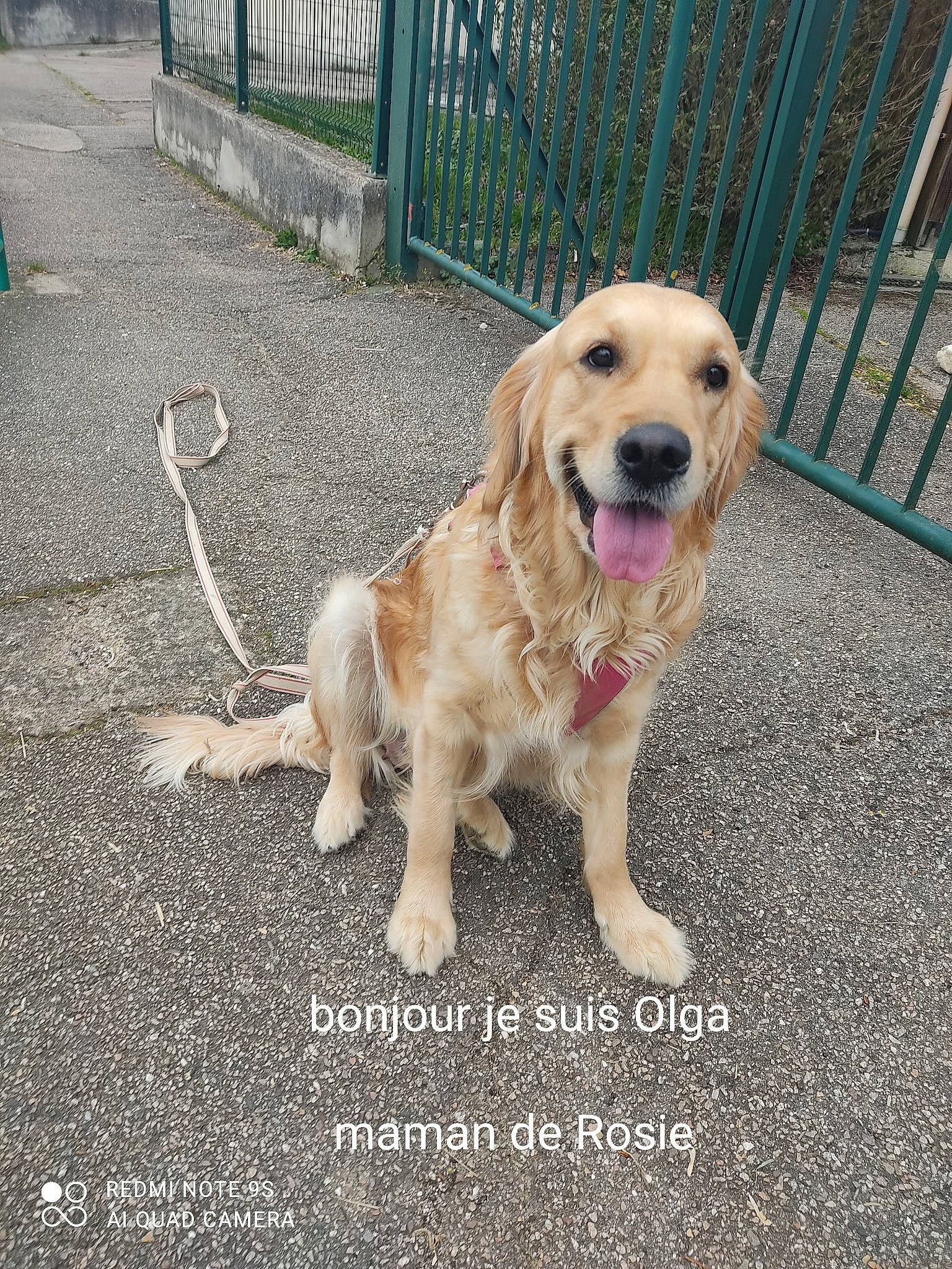 Olga