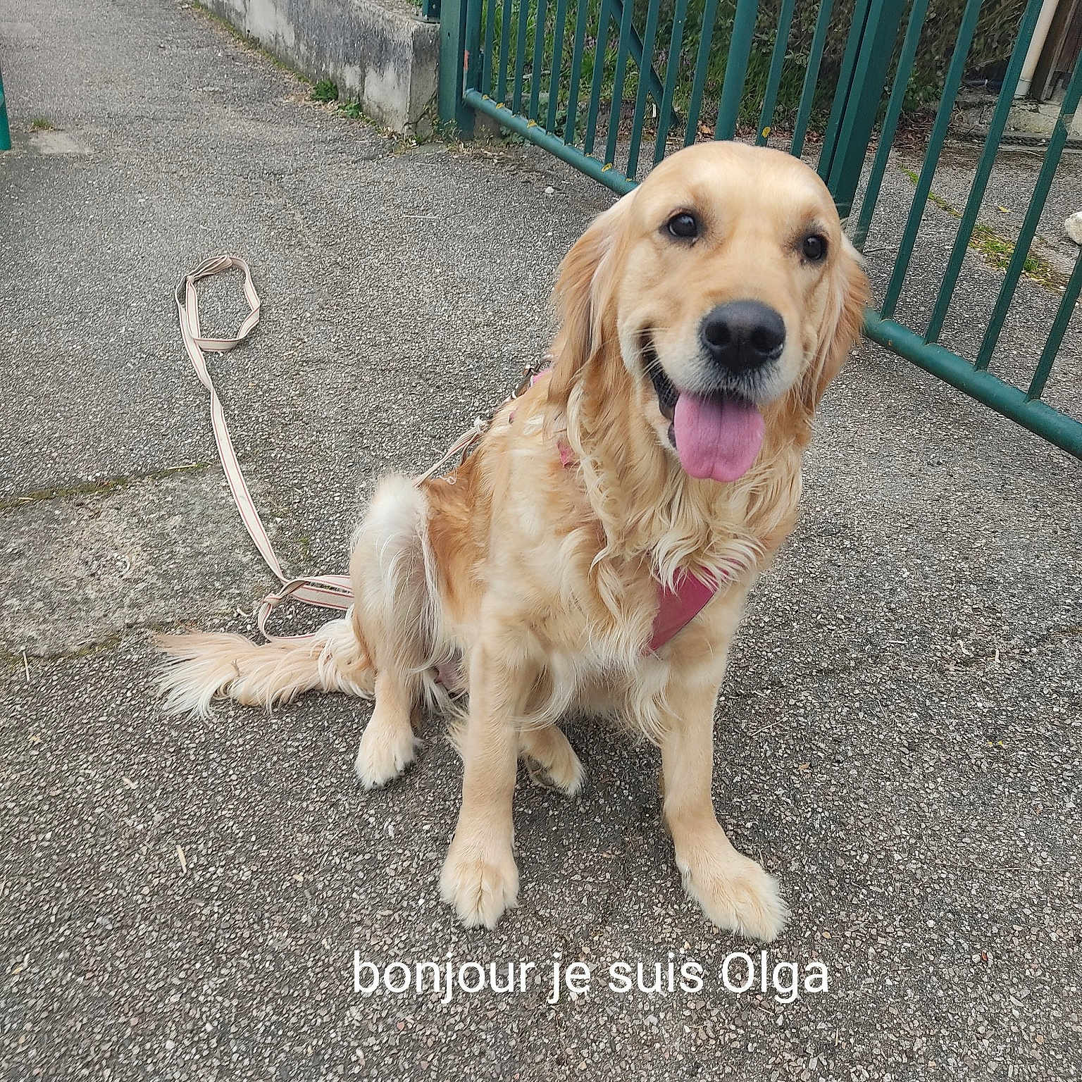 Olga
