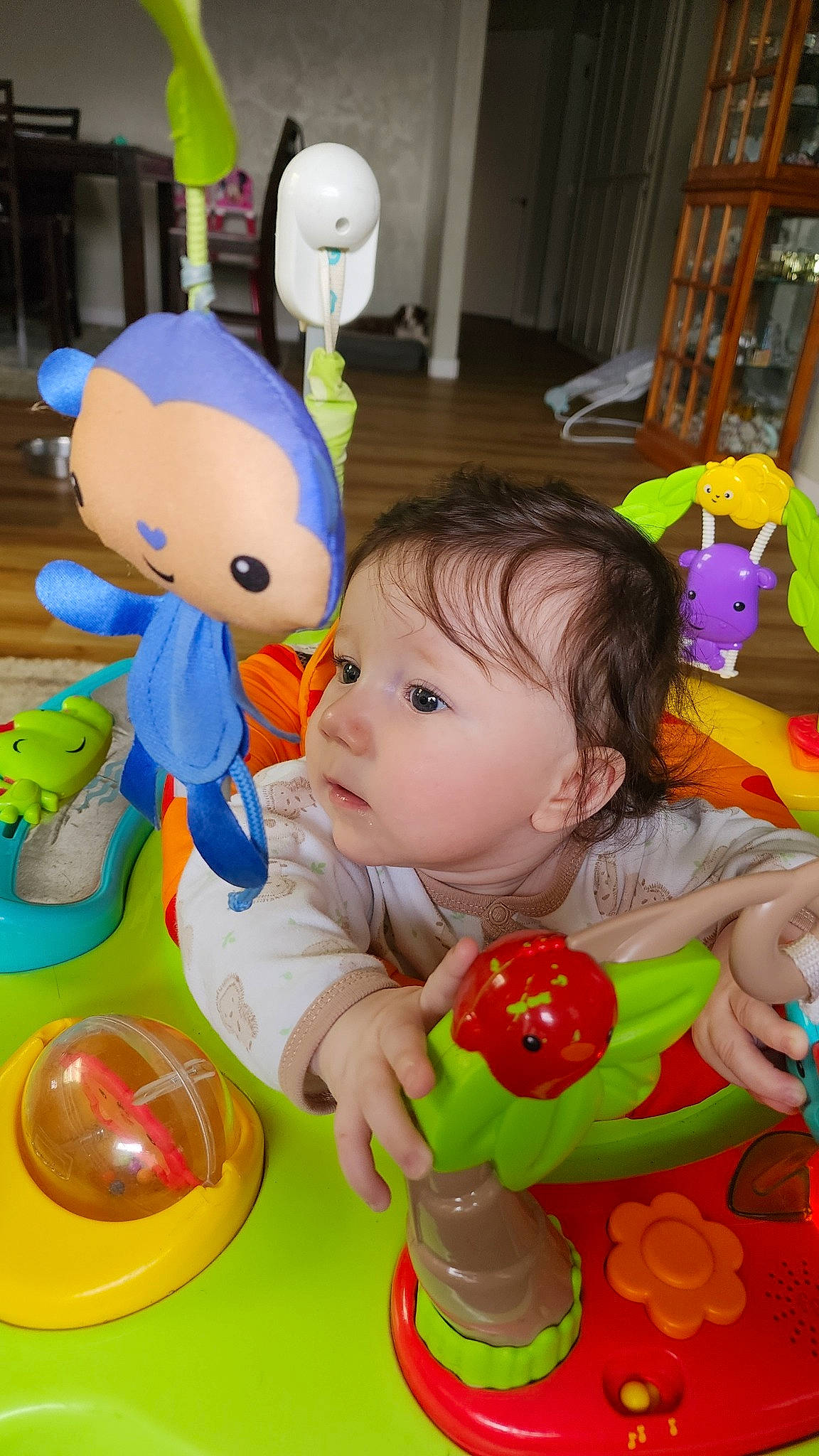 Axl joined the competition — help win amazing prizes! baby, baby_playing_with_toys, baby_products, baby_toys, cheek, child, fun, green, happy, organ, party_supply, person, plastic, play, product, room, snapshot, stuffed_toy, toddler, toy