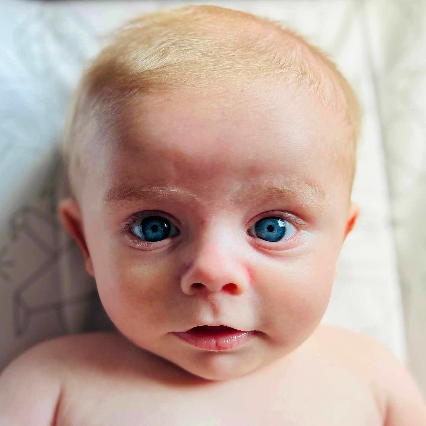 Leonardo is registered to the contest to win money with this photo: baby, background_blur, blue_eyes, child, close_up, curious, cute, expression, face, geometric_pattern, head, human, indoor, infant, looking_at_camera, naked_shoulder, portrait, skin, soft_light, young_child