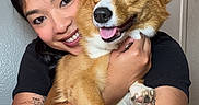 Daisy joined the competition — help win amazing prizes! arms, brown_and_white, closeup, companion, corgi, cute, dog, ears, fur, happy, hugging, indoors, person, pet, photography, portrait, smiling, tattoo, tongue_out, woman