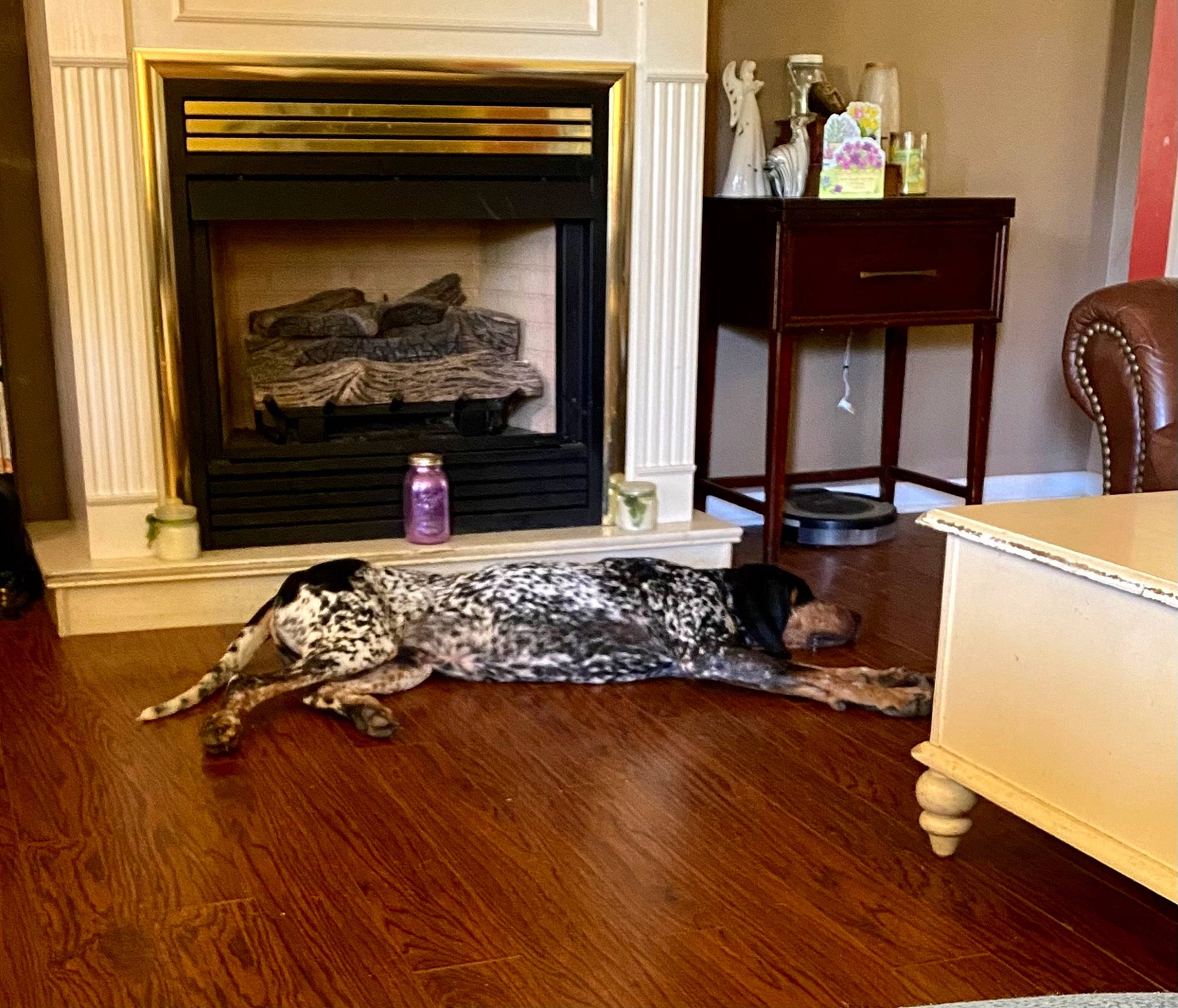 Bru is registered to the contest to win money with this photo: cabinetry, chair, chest_of_drawers, comfort, dog, drawer, floor, flooring, furniture, grey, hardwood, house, interior_design, laminate_flooring, lamp, living_room, real_estate, wood, wood_flooring, wood_stain