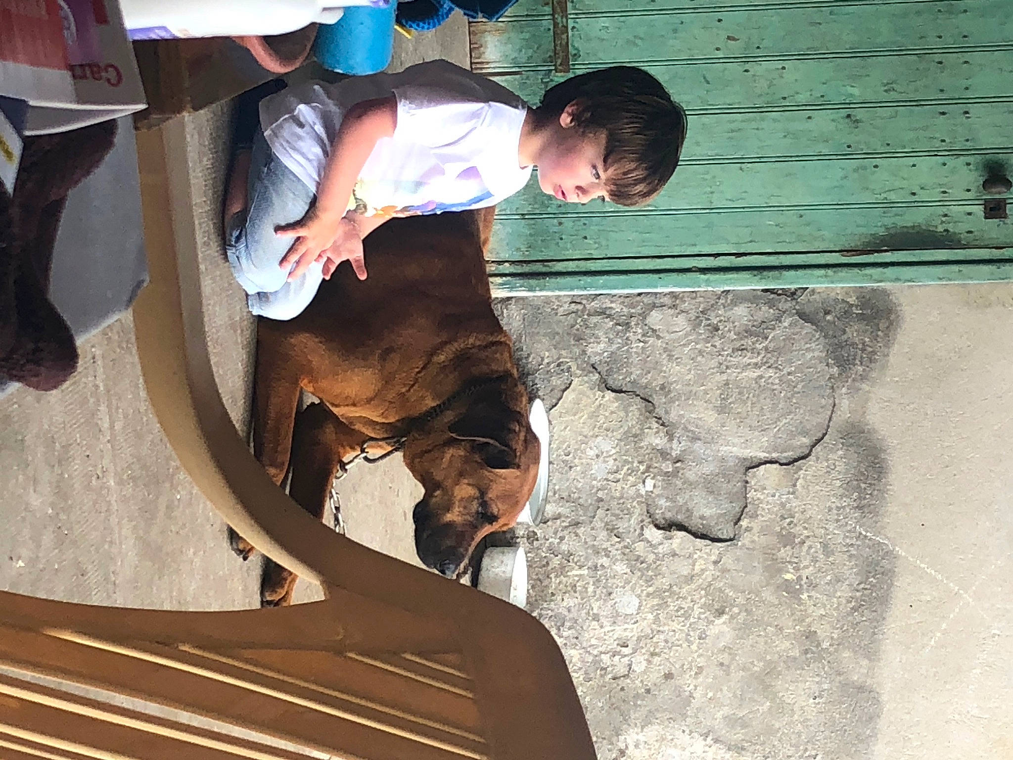 Pirate a rejoint le concours — aidez-le/la à gagner de superbes lots ! carnivore, concrete, fun, hat, human_leg, leisure, recreation, sitting, soil, working_animal