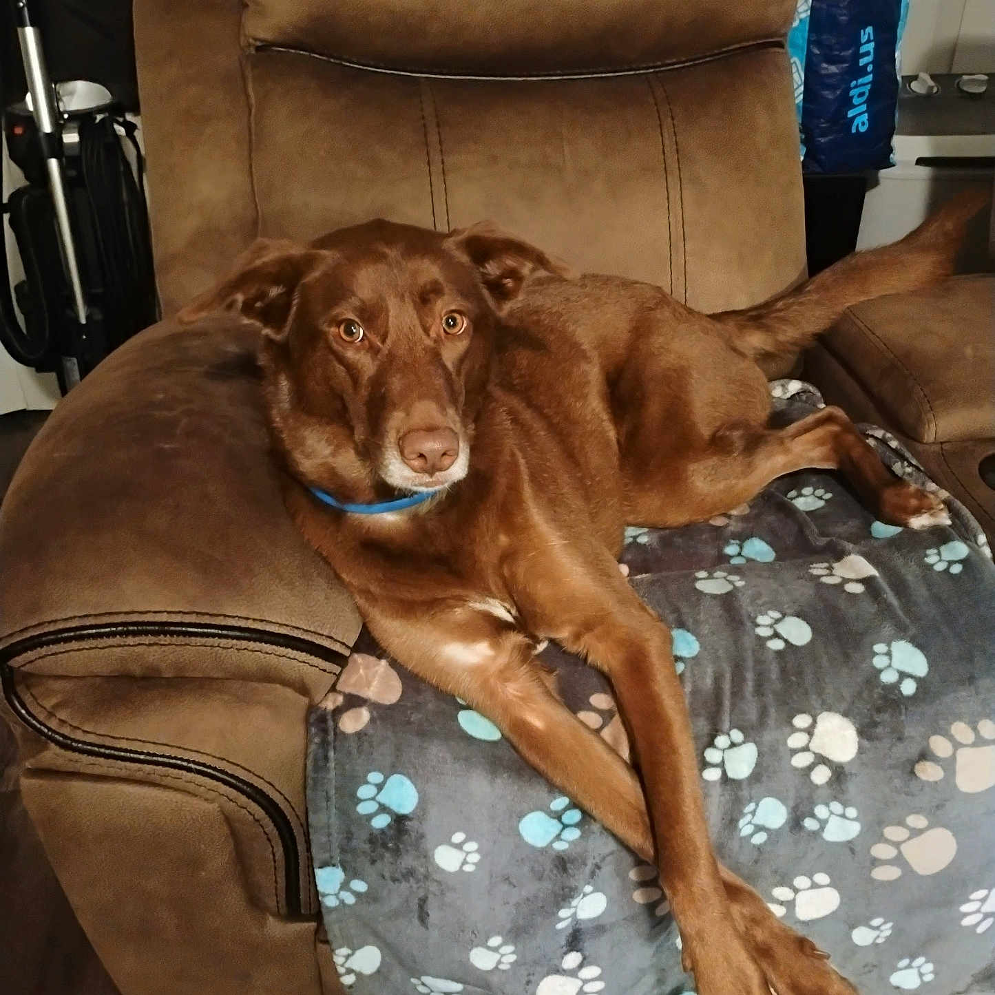 Ellie