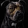 Tayson