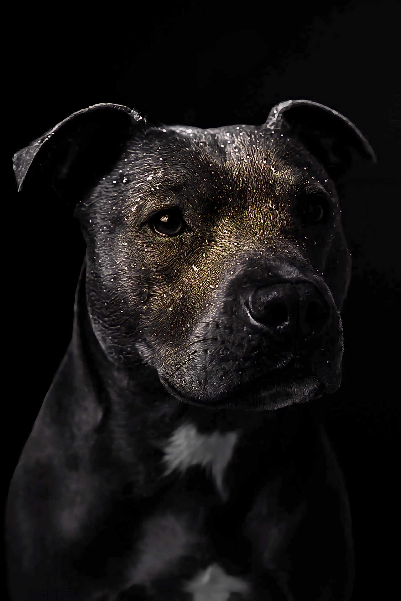 Tayson