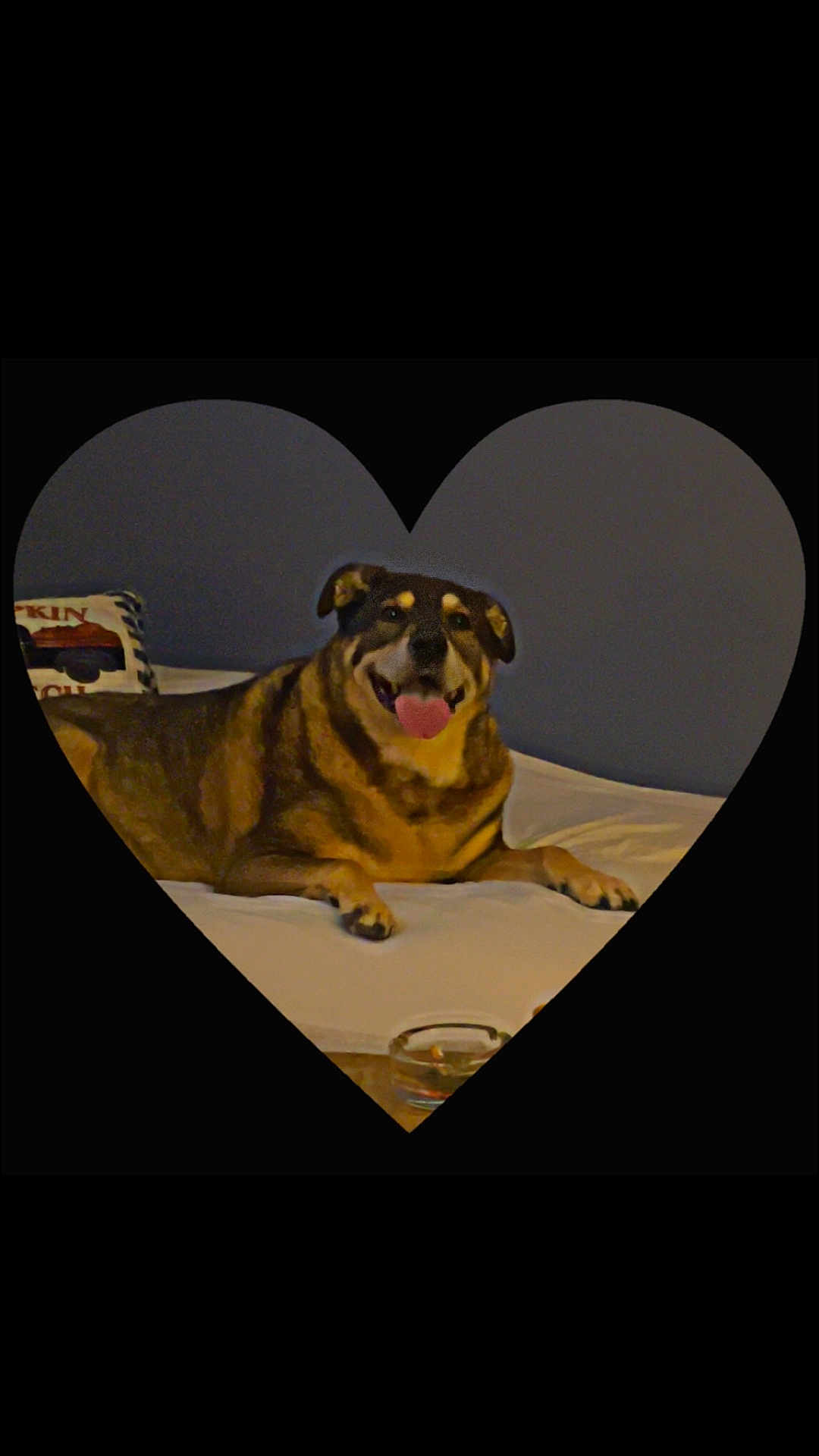 Buddy