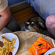 Buddy is registered to the contest to win money with this photo: arm, bed, blanket, brown_dog, casual, comfort, curious, dining, dog, food, french_fries, human_leg, indoor, ketchup, napkin, person, plate, table, waiting, wood_floor
