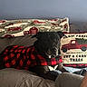 Babygirl is registered to the contest to win money with this photo: animal, black_dog, blanket, companion, couch, cozy, cute, decor, dog, domestic_animal, farm_theme, fur, home, indoor, mammal, pet_clothing, pillows, red_and_black_checkered, relaxed, resting