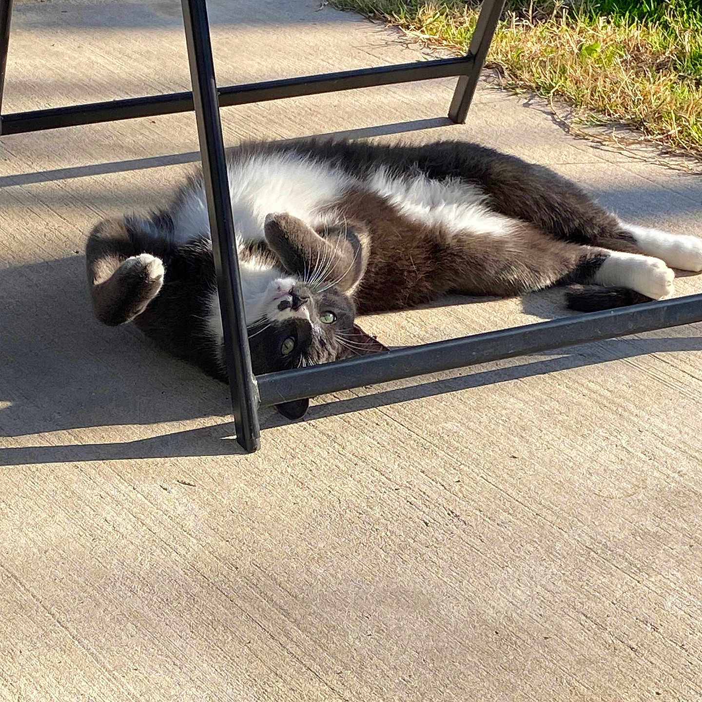 Yuki