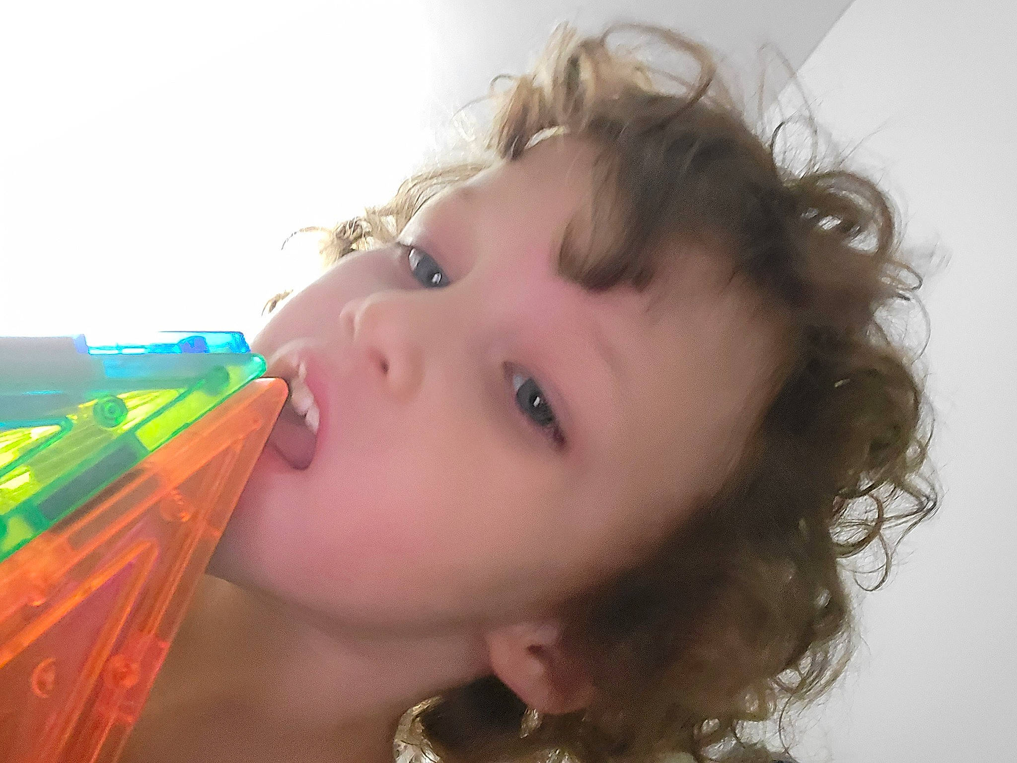 Elli is registered to the contest to win money with this photo: baby, blond, cheek, child, eyelash, eyewear, fashion_accessory, fun, grass, hair_accessory, happy, iris, leisure, lip, nose, people_in_nature, person, portrait_photography, skin, toddler