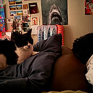 Phoebe is registered to the contest to win money with this photo: cat, black_and_white_cat, sleeping_person, bed, blanket, pillow, wall_art, posters, photographs, indoor, cozy, relaxing, animal, pet, resting, dark_lighting, shark_poster, decor, room, human