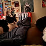 cat, black_and_white_cat, sleeping_person, bed, blanket, pillow, wall_art, posters, photographs, indoor, cozy, relaxing, animal, pet, resting, dark_lighting, shark_poster, decor, room, human