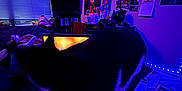 Phoebe is registered to the contest to win money with this photo: animal, bed, blanket, blue_lighting, bookshelf, cat, decor, electronics, fan, furniture, indoor, keyboard, laptop, pet, poster, purple_lighting, room, technology, television, window