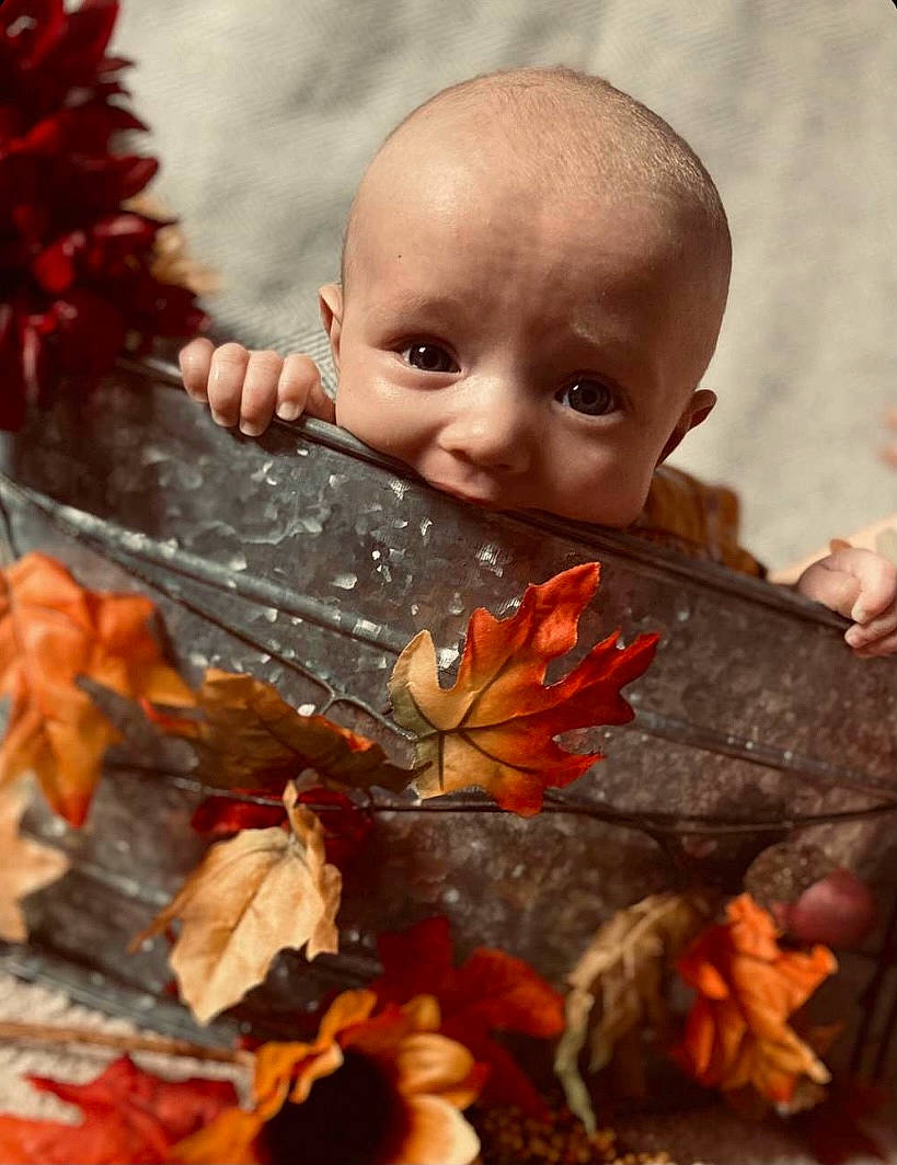 Myah joined the competition — help win amazing prizes! adaptation, child, close_up, deciduous, doll, eye, grass, happy, head, human_body, leaf, orange, organism, people_in_nature, person, plant, toddler, toy, twig, wood