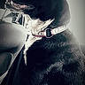 Bane joined the competition — help win amazing prizes! dog, black_dog, pet, car_interior, collar, seated, side_view, window_light, animal, domestic_animal, side_profile, indoor, attention, canine, seat, shadow, monochrome, portrait, companion, vehicle