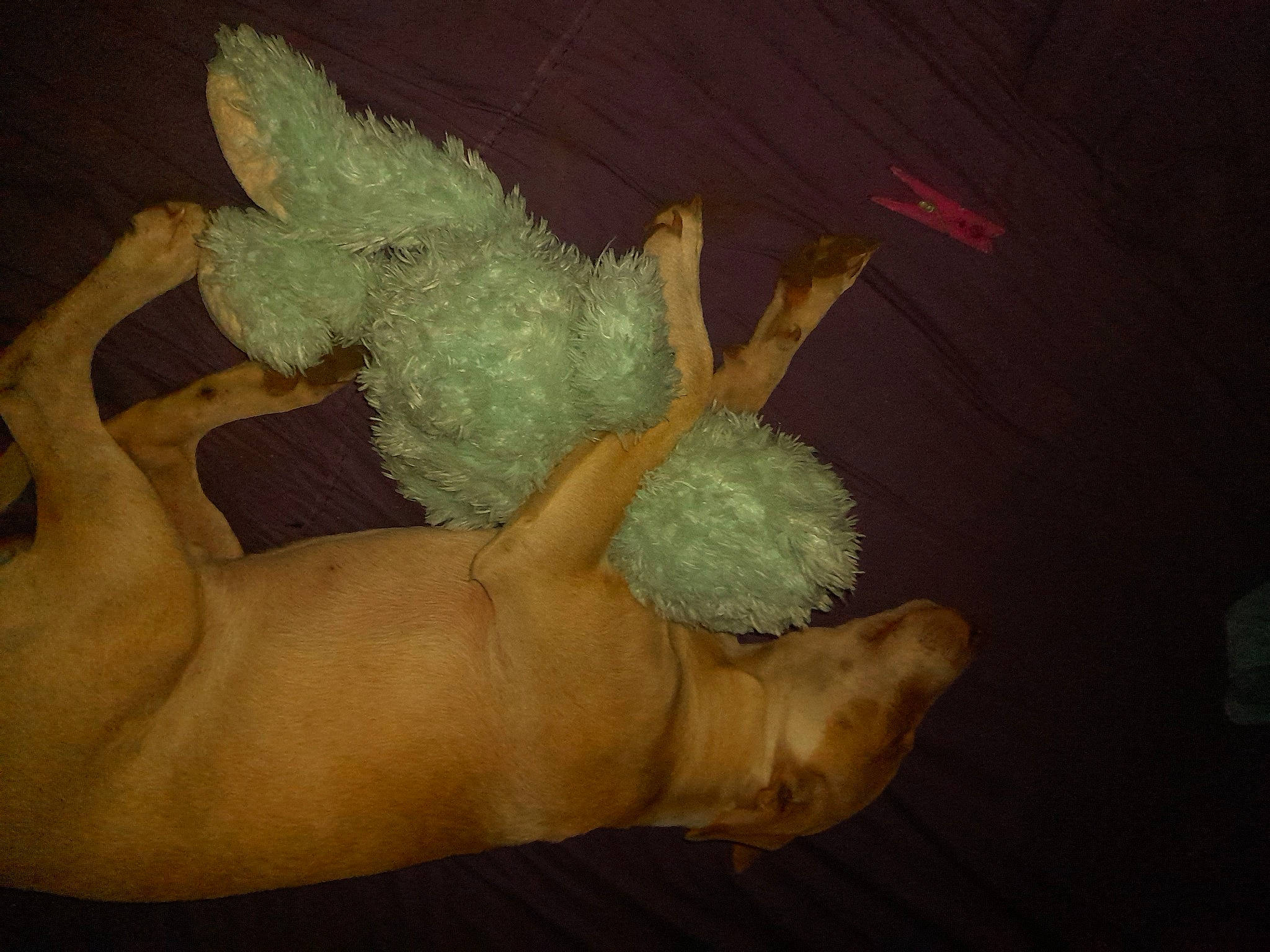 Hatchi participe au concours pour gagner de l'argent avec cette photo : art, chest, fawn, flesh, gesture, human_leg, nail, paw, sculpture, tail, thumb, trunk, visual_arts, wood, wrist