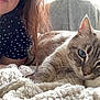 Yuki participe au concours pour gagner de l'argent avec cette photo : animal, blanket, blue_eyes, cat, closeup, comfort, companion, cozy, face, feline, fur, hair, indoor, light, person, relaxed, resting, soft, texture, window