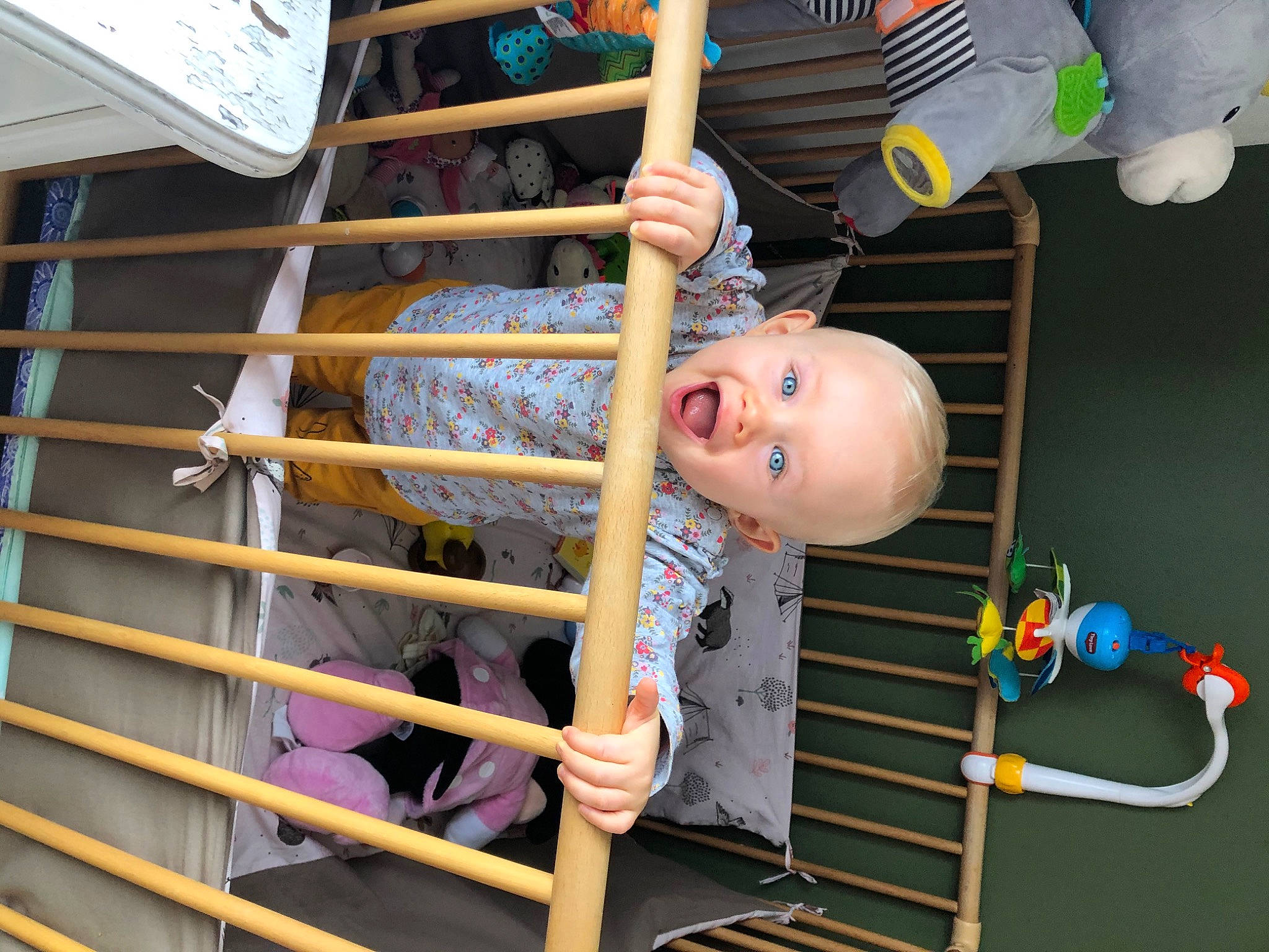 Celeste participe au concours pour gagner de l'argent avec cette photo : child, person, surprise