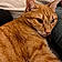 Finnegan