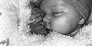 𝐓𝐡𝐲𝐚𝐠𝐨 a rejoint le concours — aidez-le/la à gagner de superbes lots ! baby, beanie, blanket, child, closeup, cozy, cute, face, fur, hand, infant, monochrome, pattern, peaceful, pillow, portrait, rest, sleeping, soft, warm