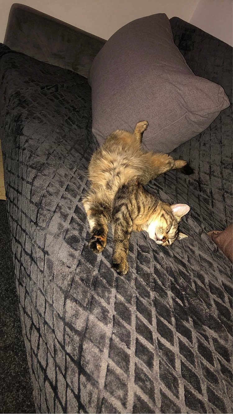 Bonnie