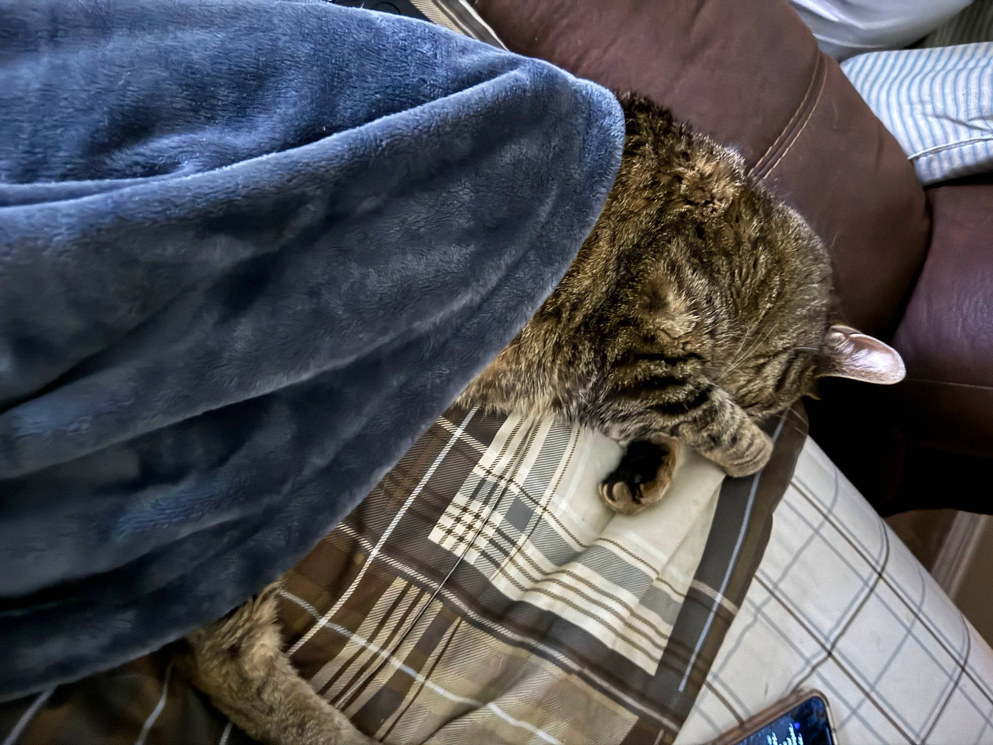 Oscar
