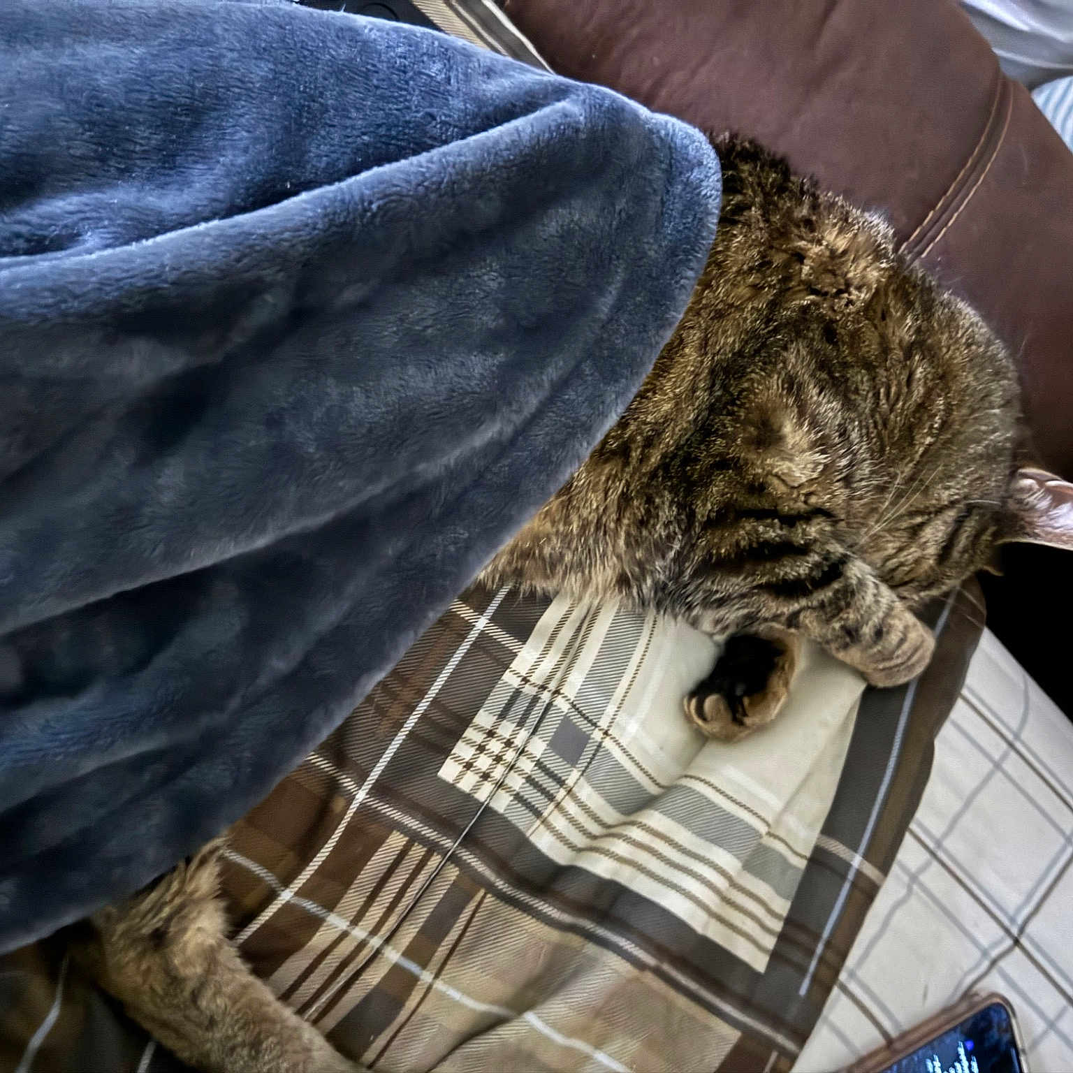 Oscar