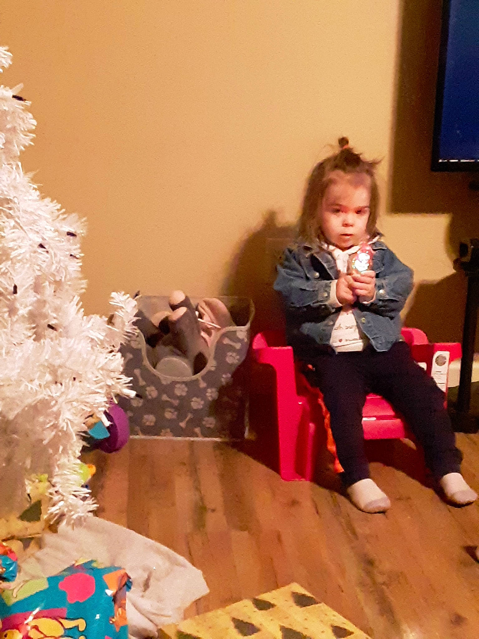 Emily is registered to the contest to win money with this photo: child, christmas, christmas_decoration, christmas_eve, christmas_ornament, christmas_tree, fun, holiday, person, play, room, toddler