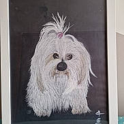 Gaia participe au concours pour gagner de l'argent avec cette photo : drawing, dog, artwork, pastel, framed, white_fur, hair_tie, portrait, signature, black_background, fluffy, animal_art, pet_art, illustration, table_surface, polka_dot, indoor, decor, frame, art