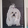 drawing, dog, artwork, pastel, framed, white_fur, hair_tie, portrait, signature, black_background, fluffy, animal_art, pet_art, illustration, table_surface, polka_dot, indoor, decor, frame, art