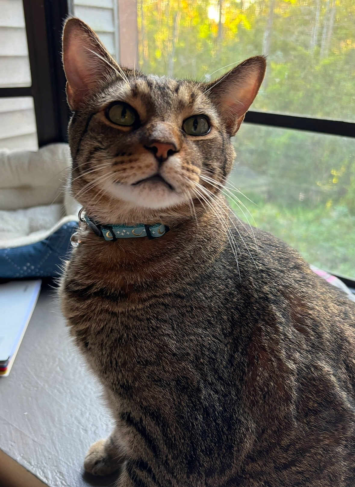 Cooper