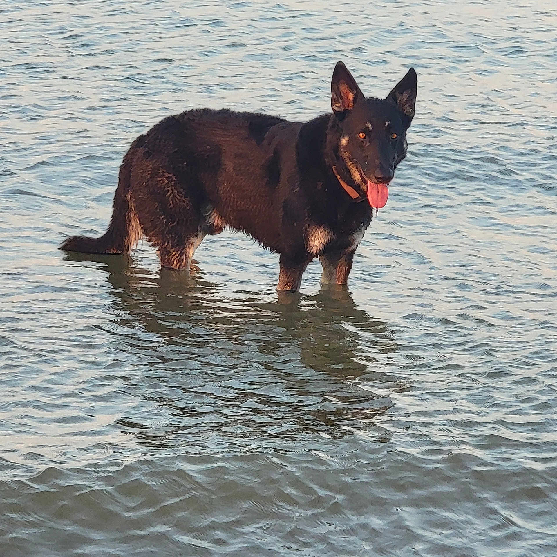 Charlie