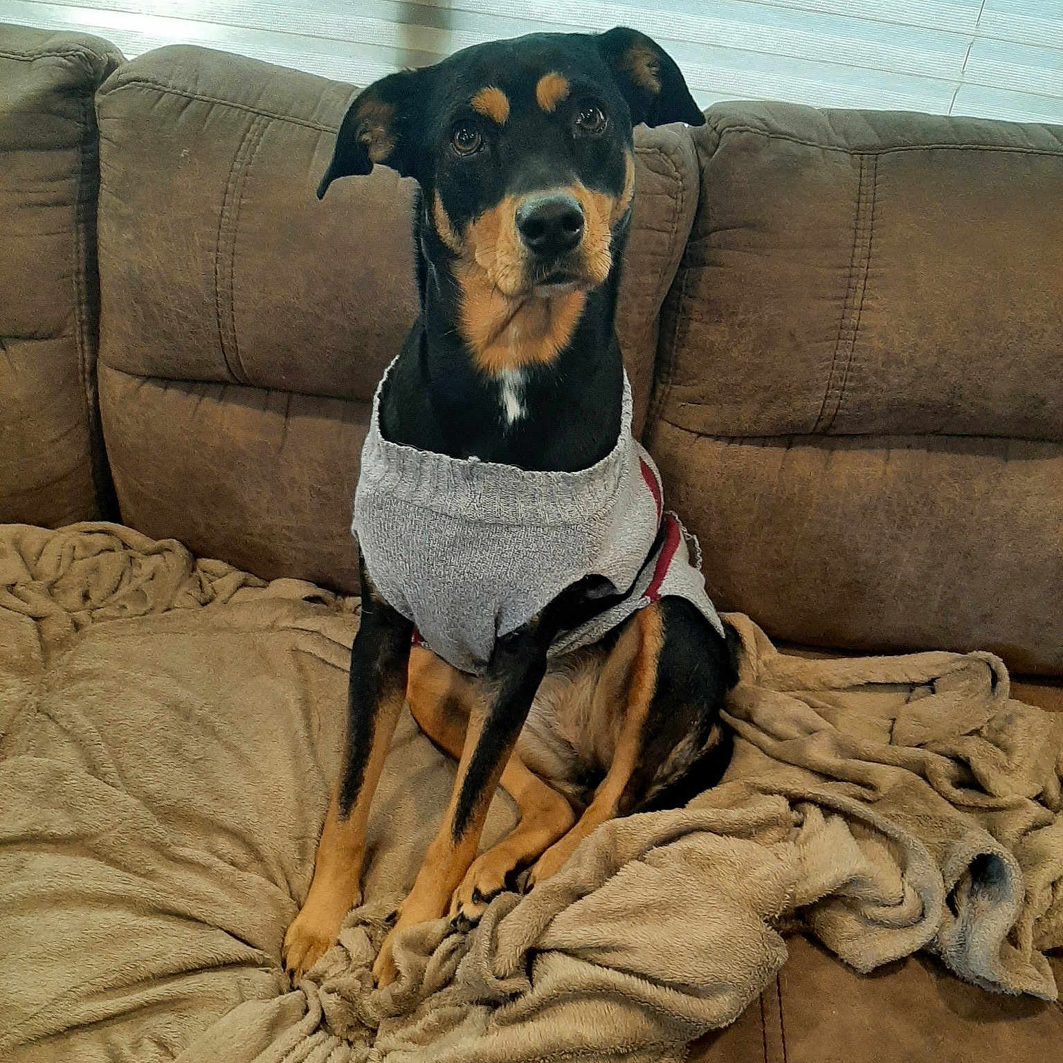 Lilgirl