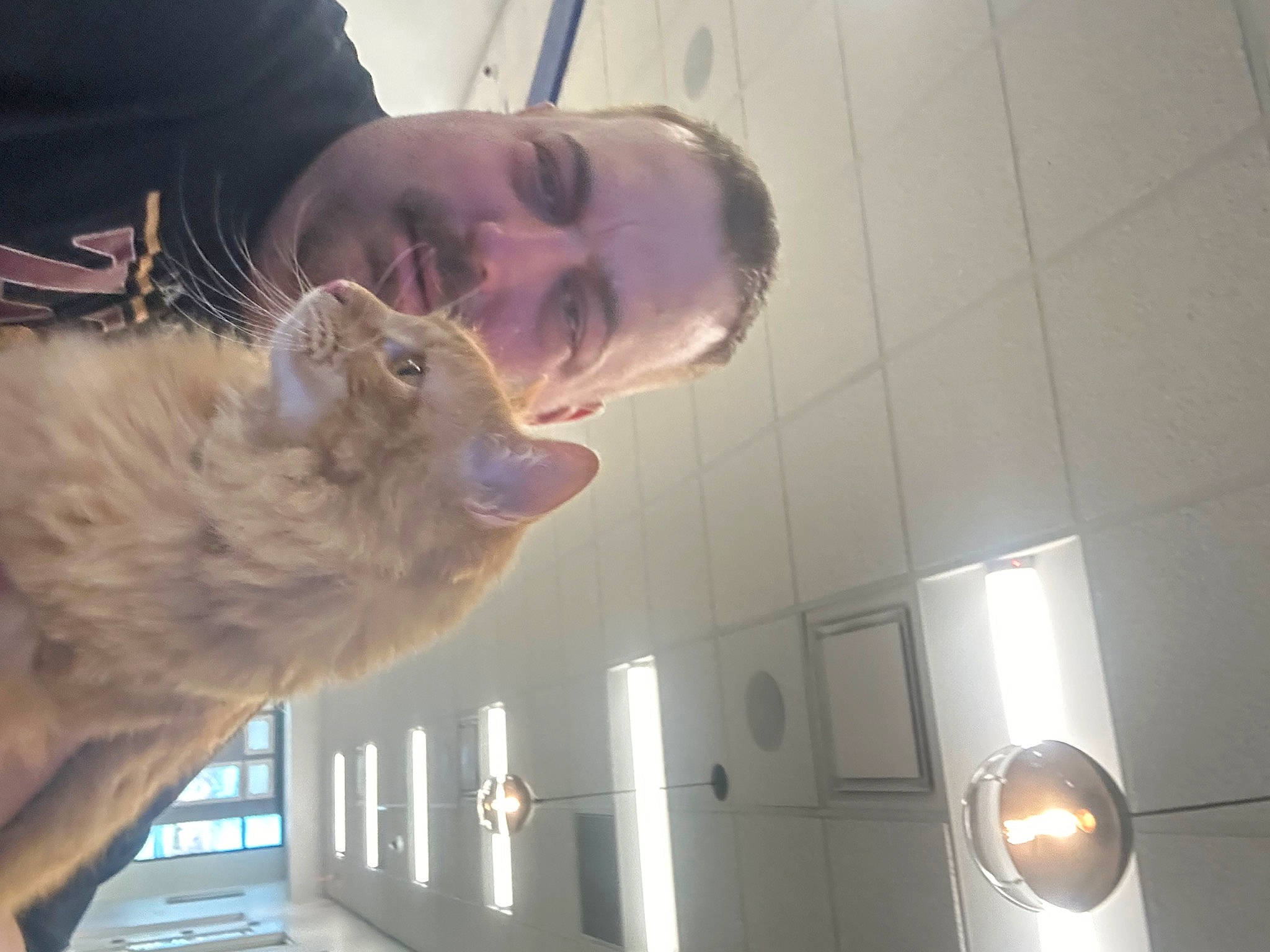 El Mago joined the competition — help win amazing prizes! ceiling, fun, fur, glass, jaw, light_fixture, marsupial, smile, snout, tail, terrestrial_animal, whiskers, wildlife_biologist