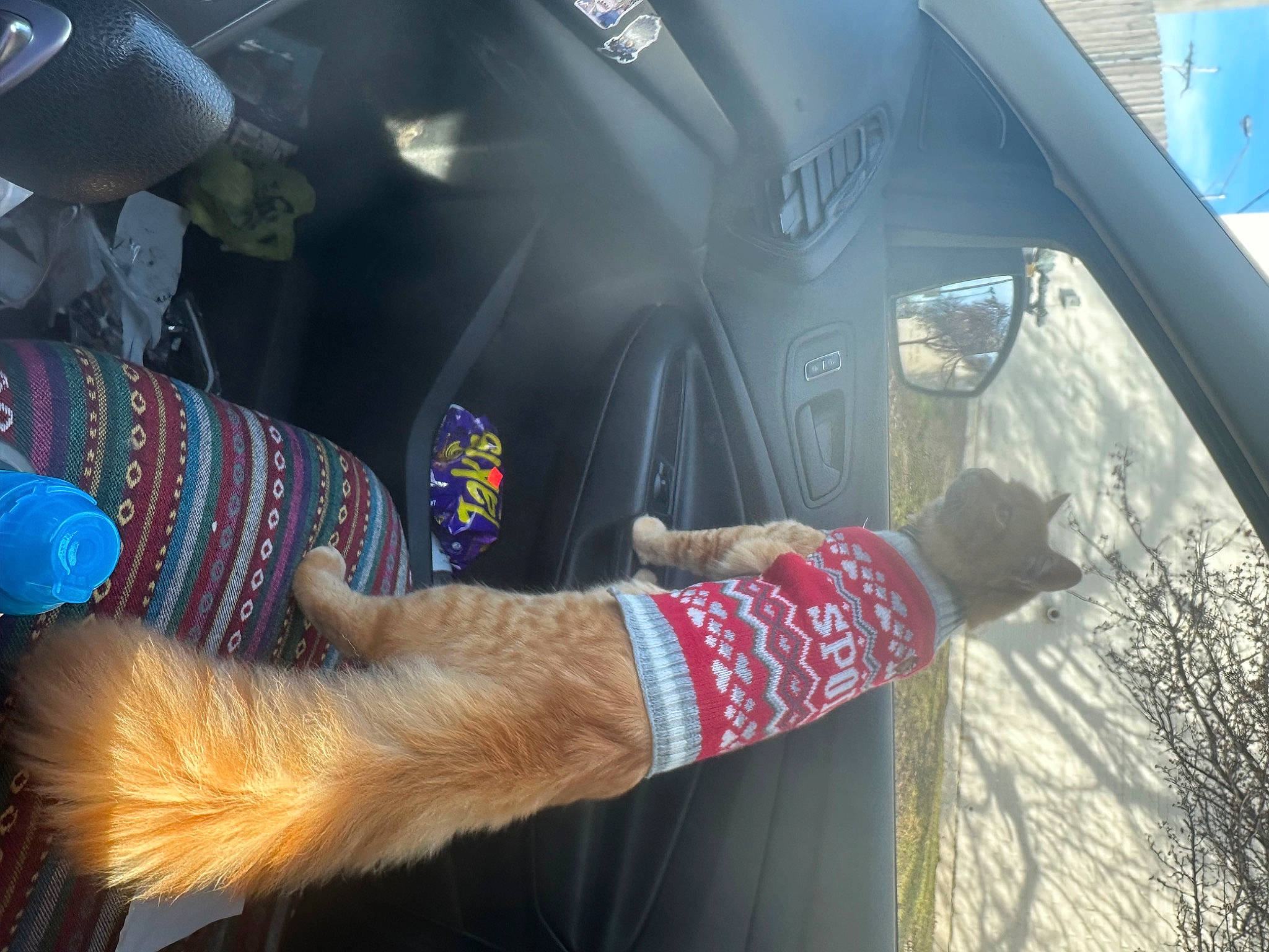 El Mago joined the competition — help win amazing prizes! automotive_design, automotive_exterior, automotive_lighting, automotive_tire, car, finger, gesture, light, motor_vehicle, nail, personal_luxury_car, plant, steering_wheel, tints_and_shades, tree, vehicle, vehicle_door, window, windshield, wrist