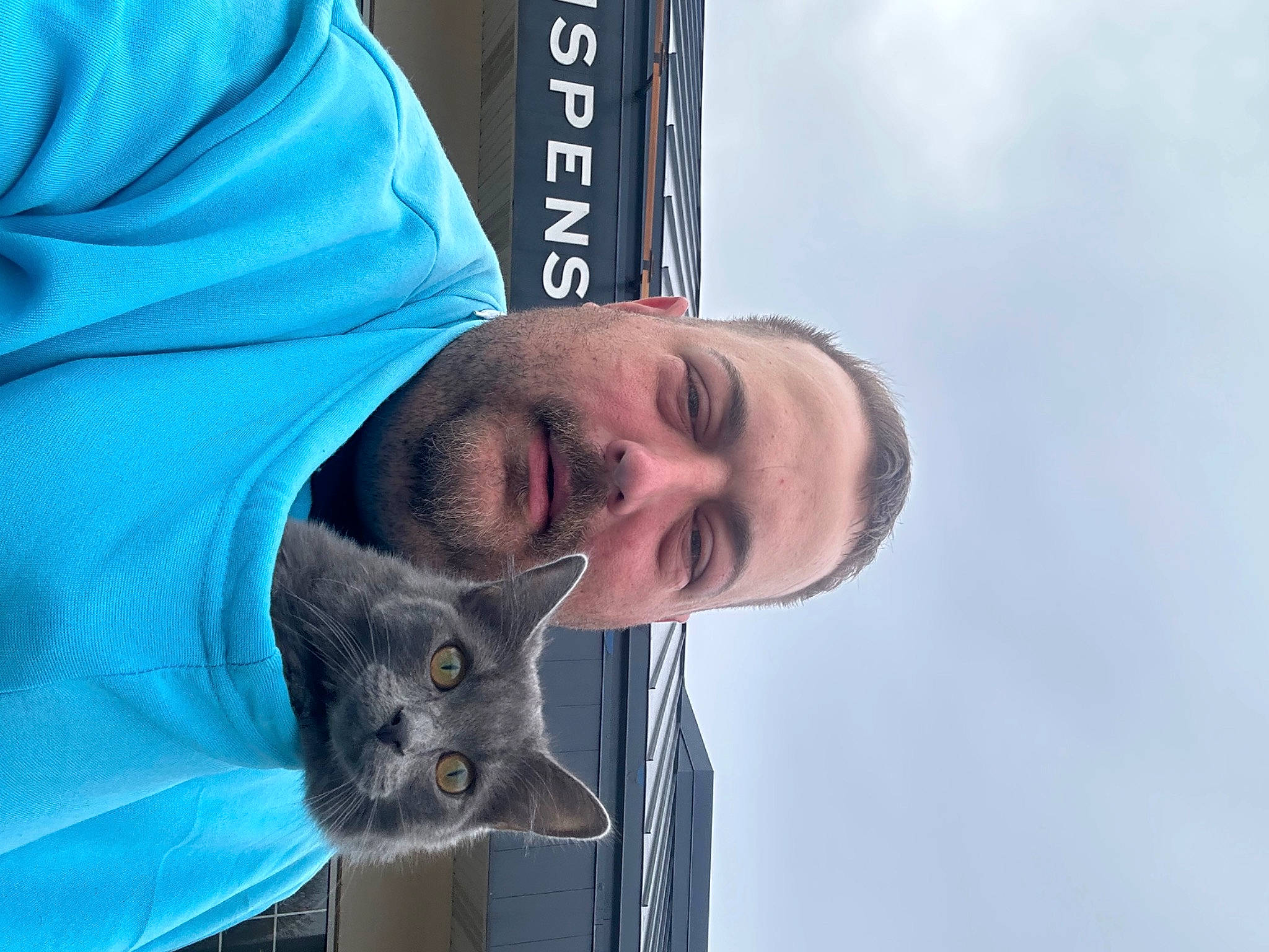 Delilah joined the competition — help win amazing prizes! carnivore, cloud, electric_blue, eye, felidae, grey, russian_blue, sky, sleeve, small_to_medium_sized_cats, smile, travel, whiskers, window, wrinkle